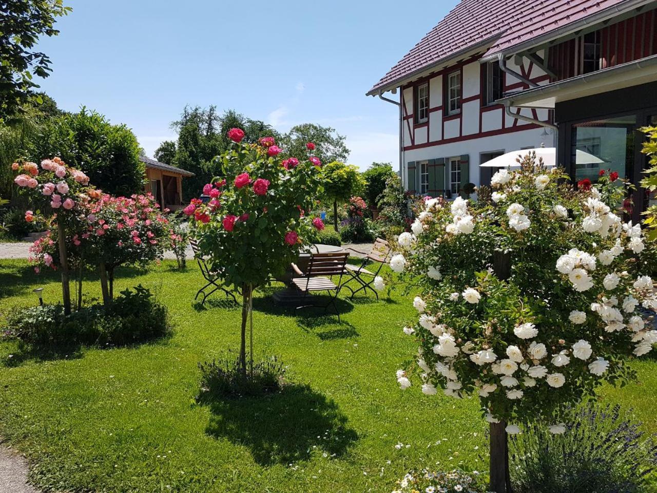 Hotel Landgut Apfelrose à FDH Extérieur photo